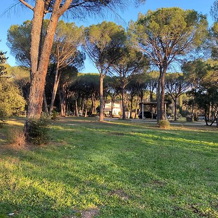 Residence Gabrielle Le Cannet Des Maures Esterno foto